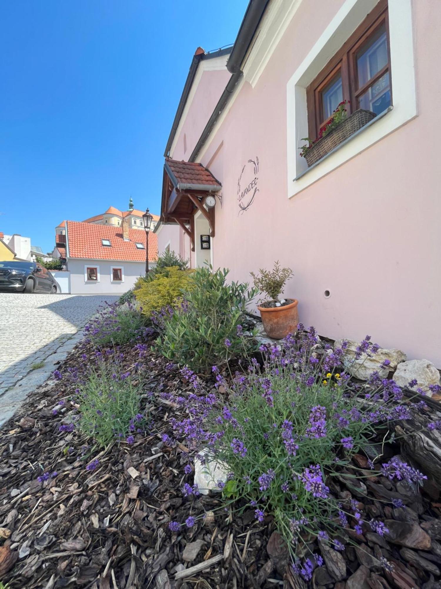 Apartmany Lavander 米库洛夫 外观 照片